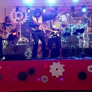 Meet your Posher, Harrison